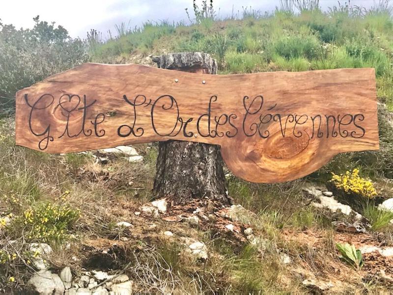 Saint-Andre-Capceze Gite L'Or Des Cevennes מראה חיצוני תמונה