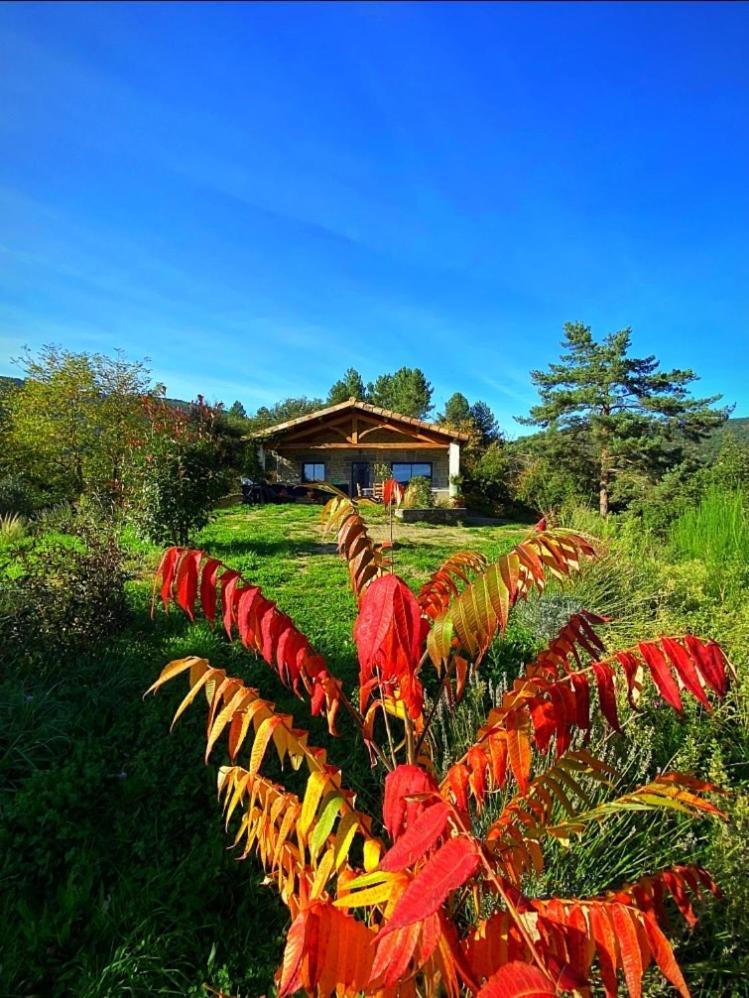 Saint-Andre-Capceze Gite L'Or Des Cevennes מראה חיצוני תמונה